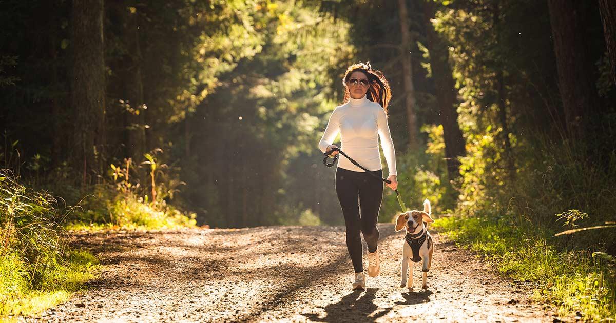 Spacer nad Jeziorem Paprocańskim: Idealna atmosfera dla zakochanych
