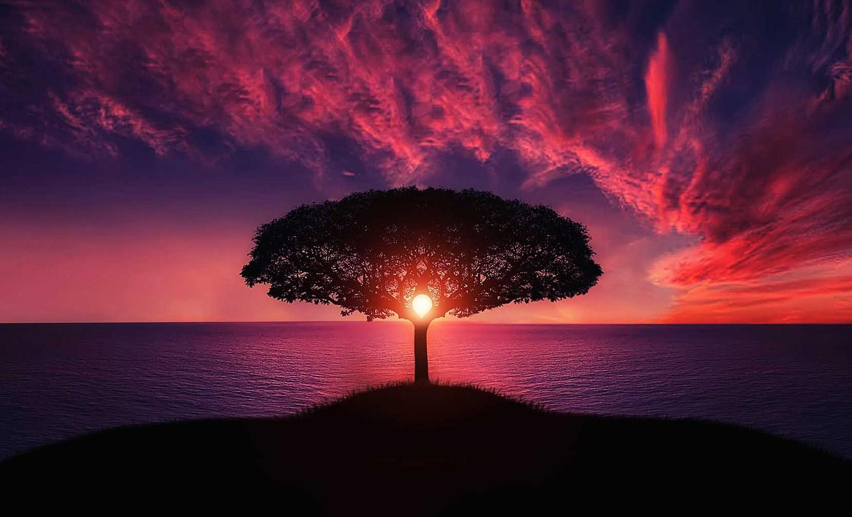 Jak​ wybrać najlepsze zdjęcia ⁢na profil?