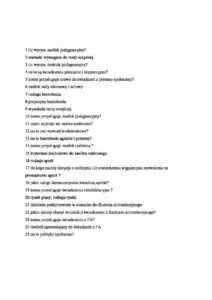 Jakie pytania warto zadawać podczas pierwszej rozmowy online?