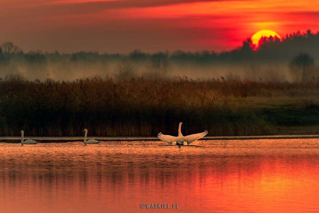 Najważniejsze zdjęcia w⁤ profilu ‌randkowym