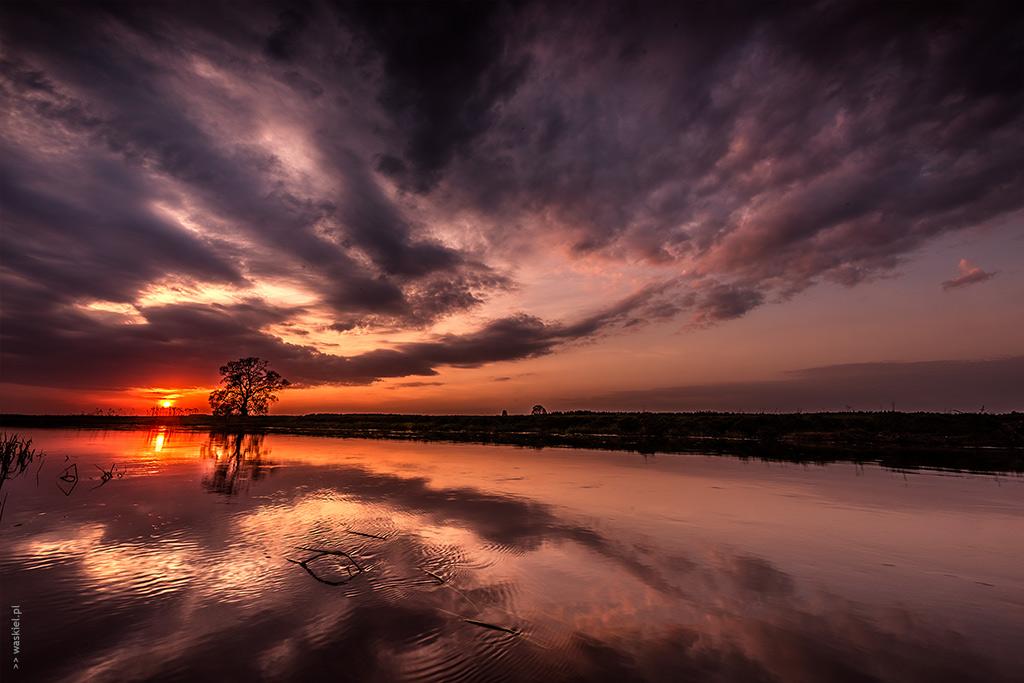 Najlepsze ⁢zdjęcia na portale​ randkowe
